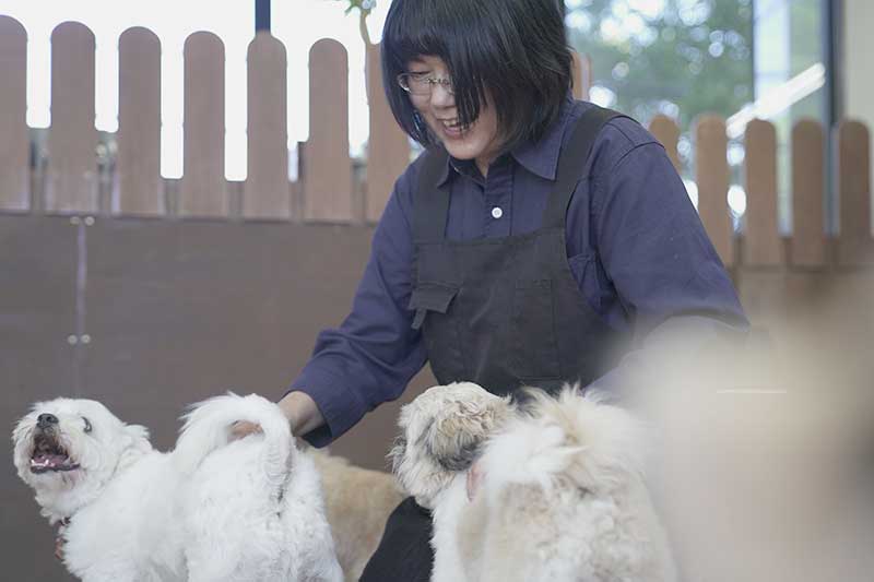 マザーズドッグス