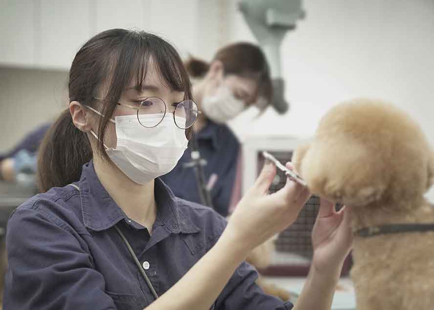 マザーズドッグス