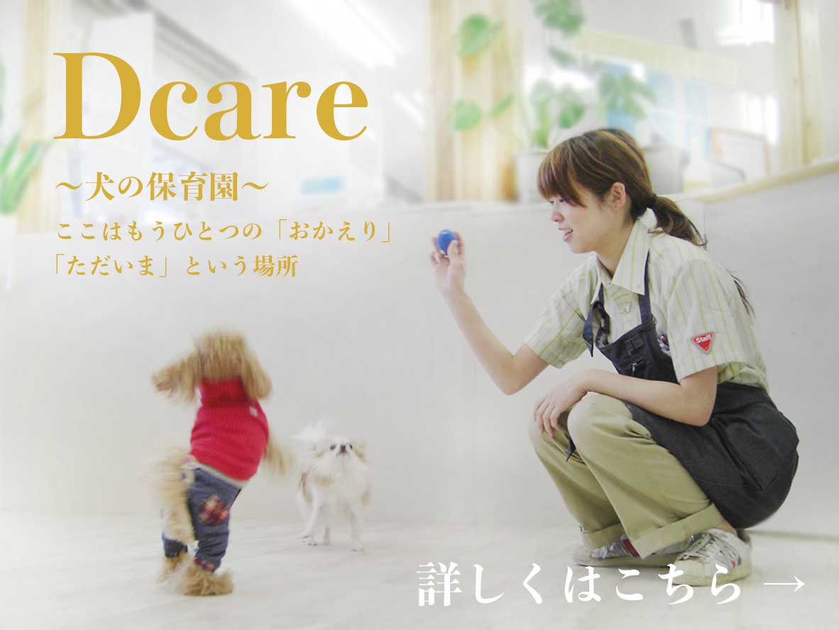 マザーズドッグス