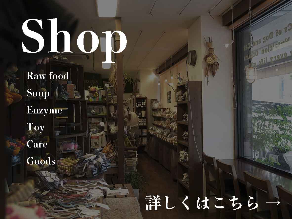 マザーズドッグス