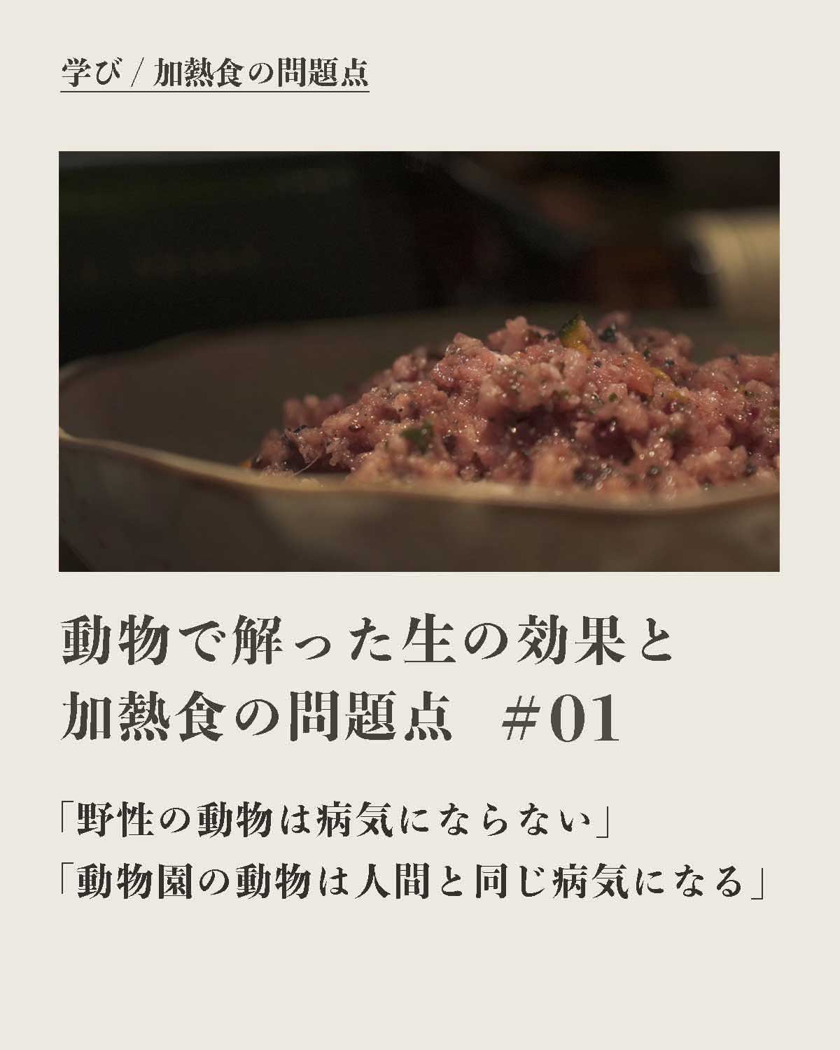 犬の食事(生食)発酵野草ローフードウルス