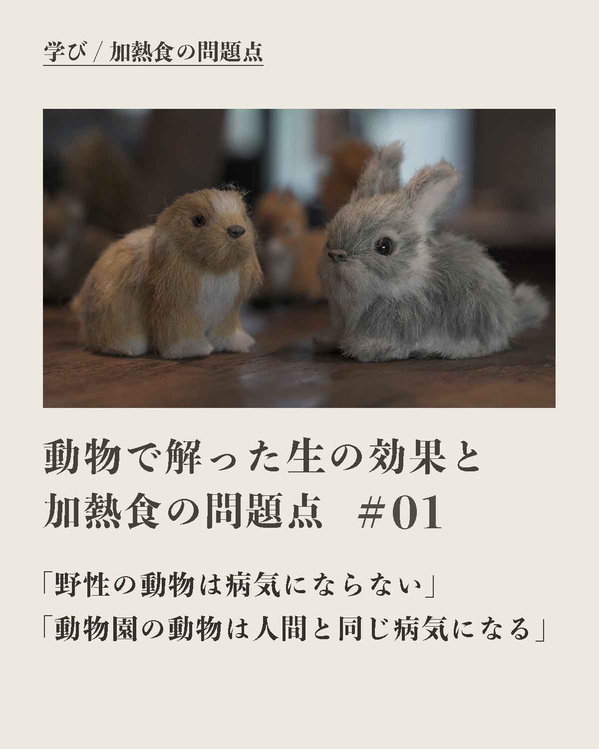 発酵野草ドッグフードウルス