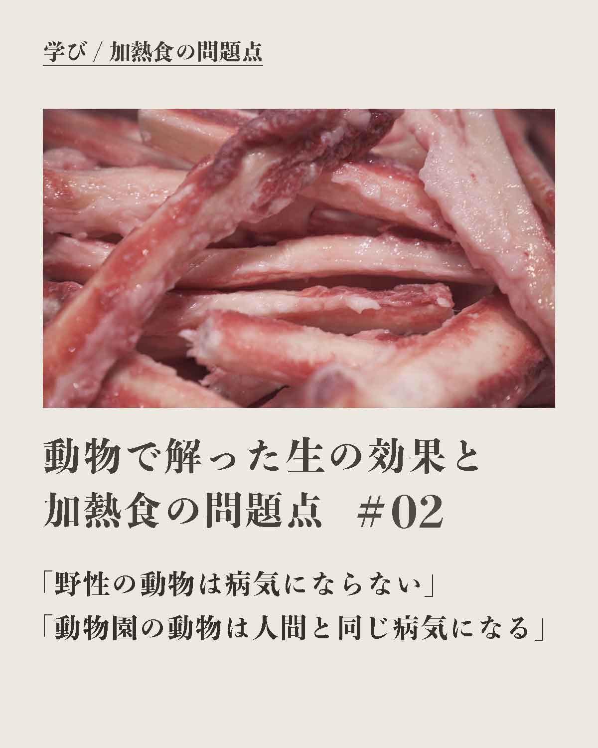 犬の食事(生食)発酵野草ローフードウルス