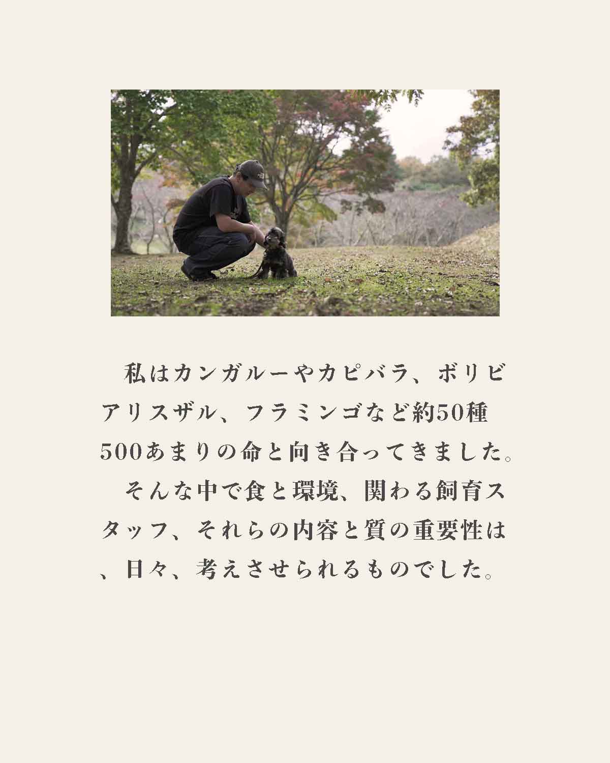 発酵野草ドッグフードウルス