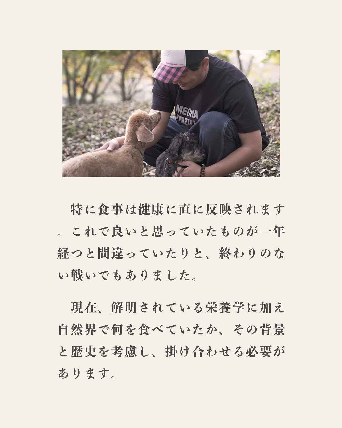 発酵野草ドッグフードウルス