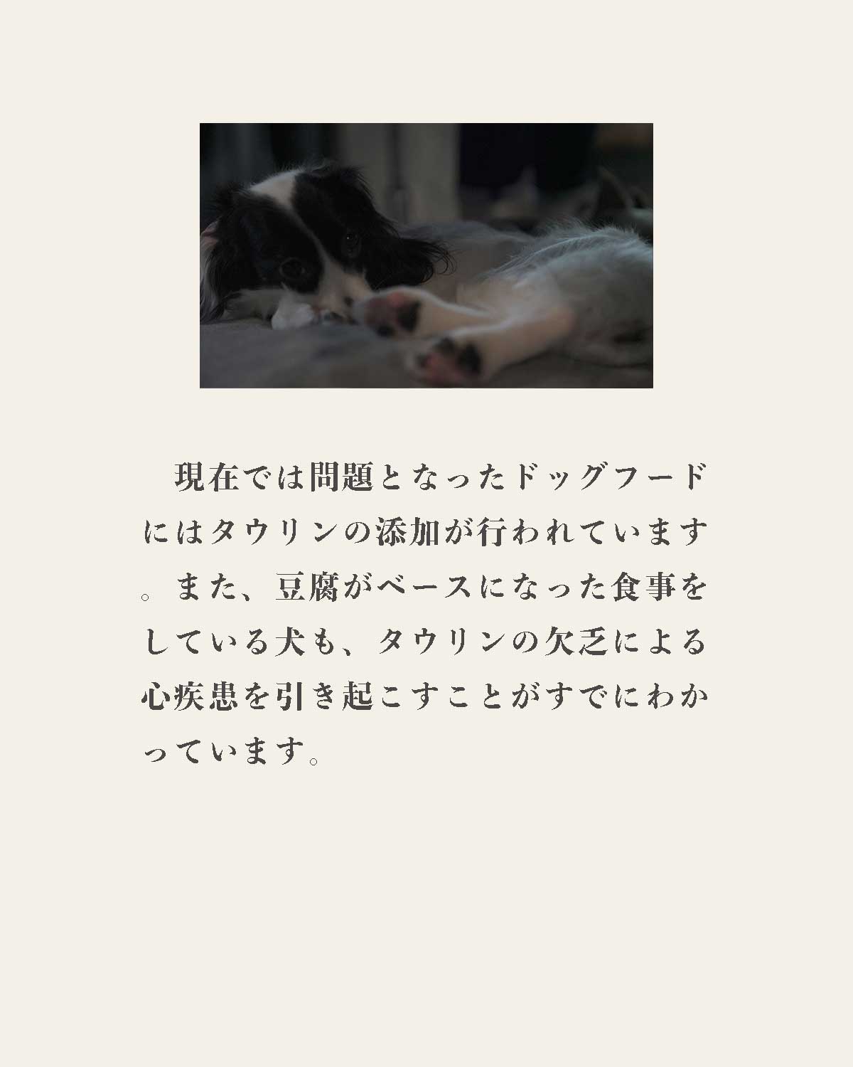 発酵野草ドッグフードウルス