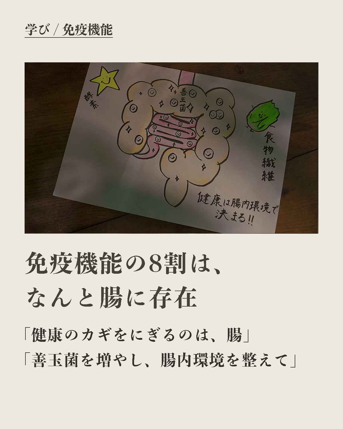 犬の手作りフード 生食 発酵野草入りローフードウルス