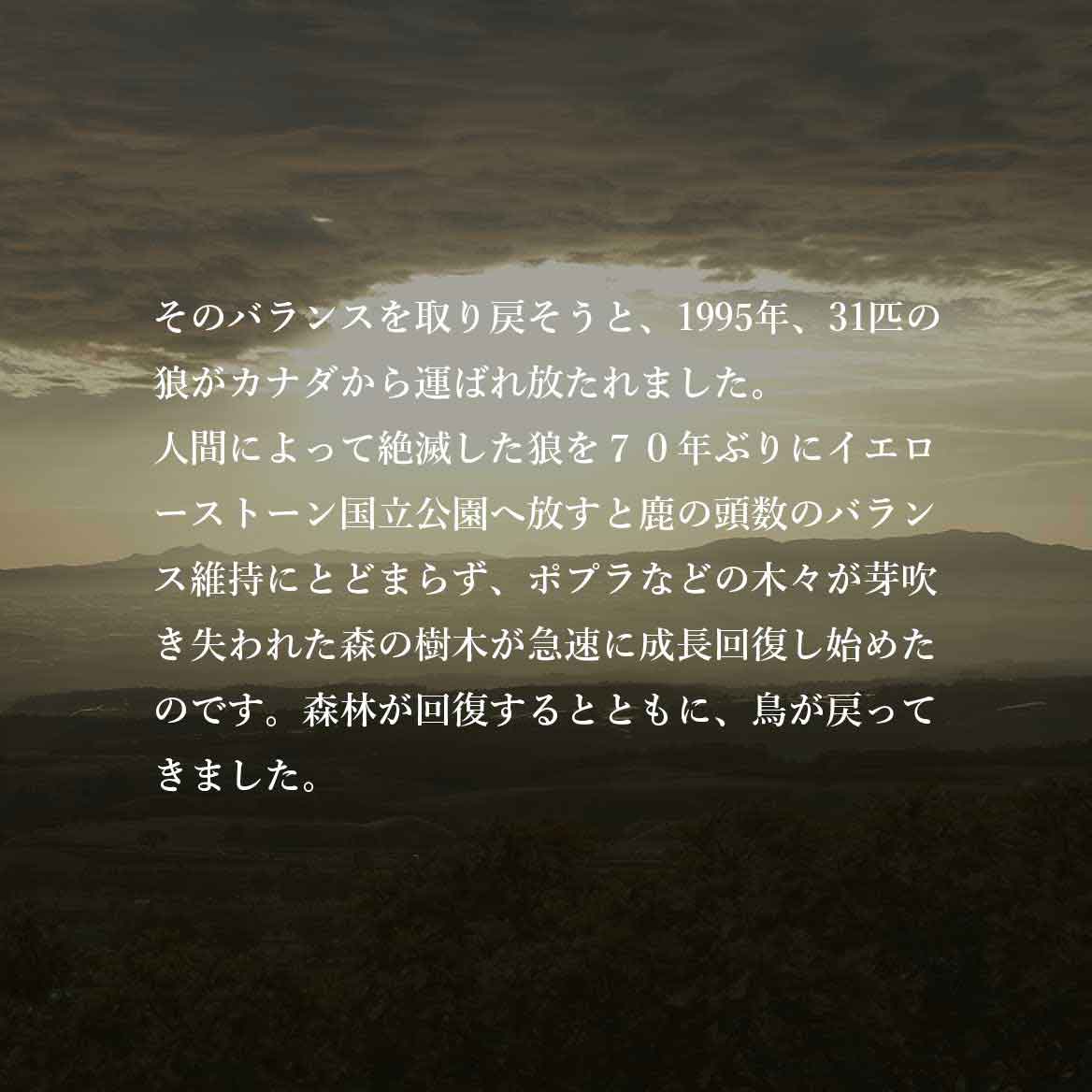 発酵野草ドッグフードウルス