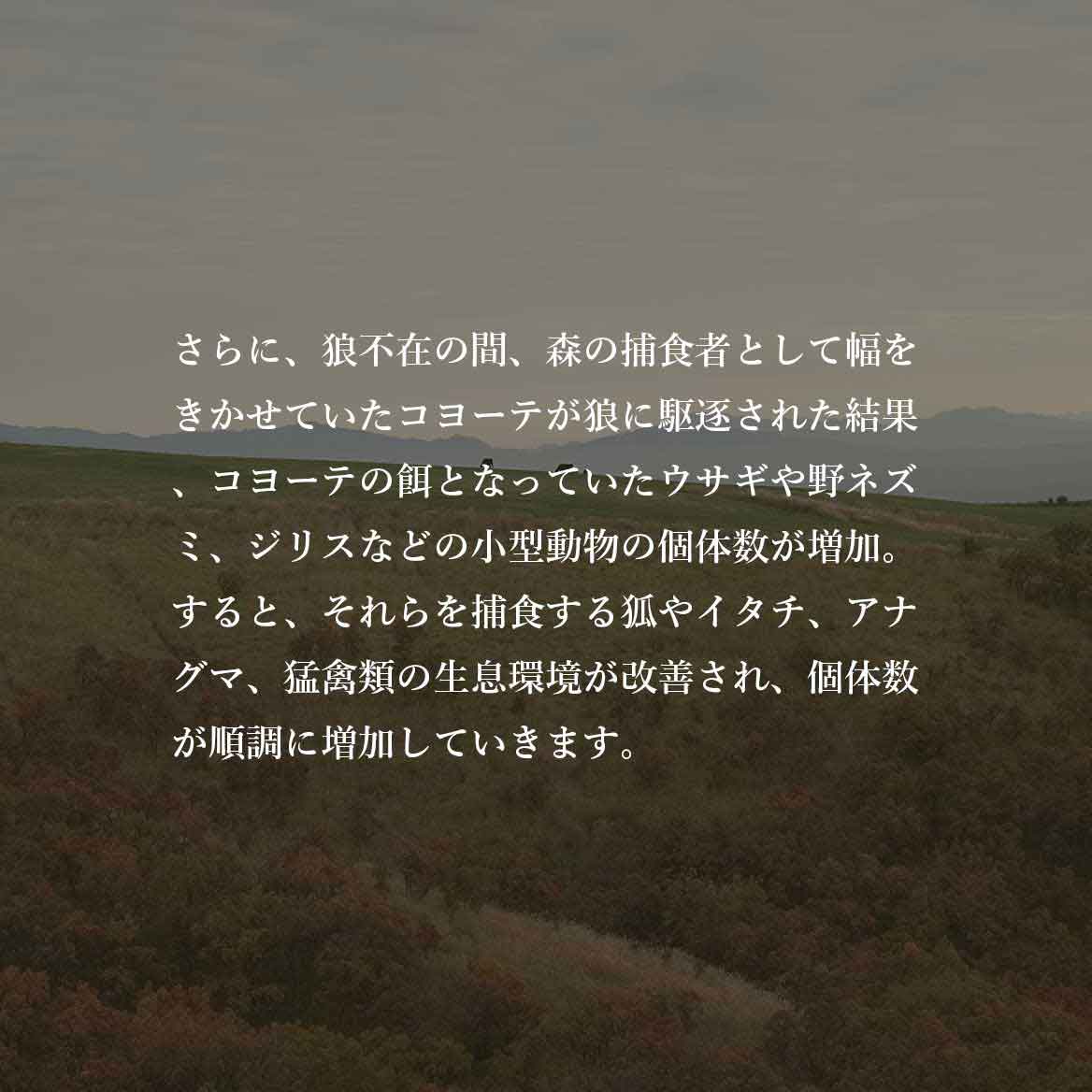 発酵野草ドッグフードウルス