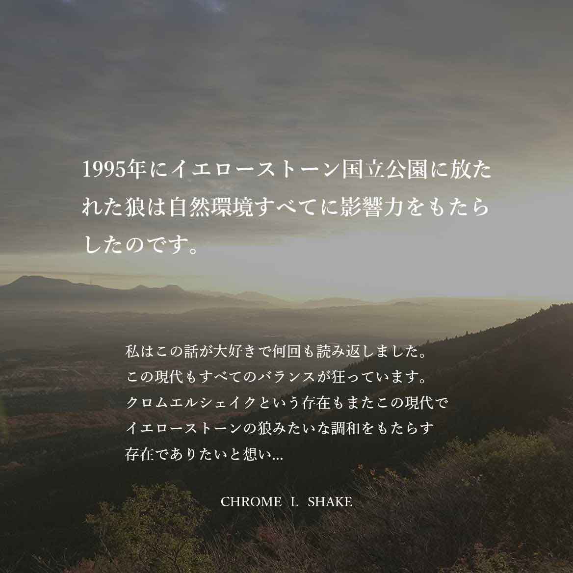 発酵野草ドッグフードウルス