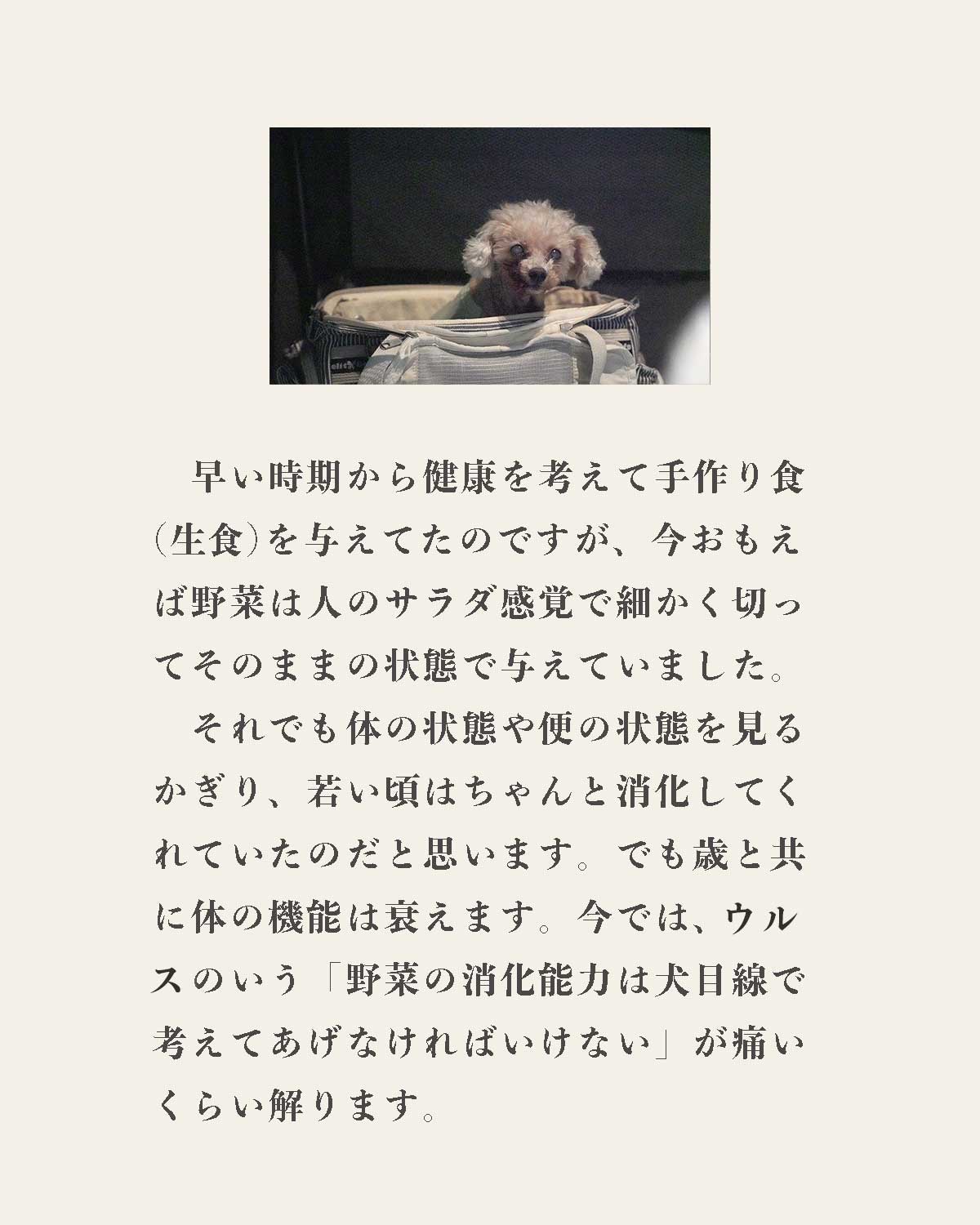 発酵野草ドッグフードウルス