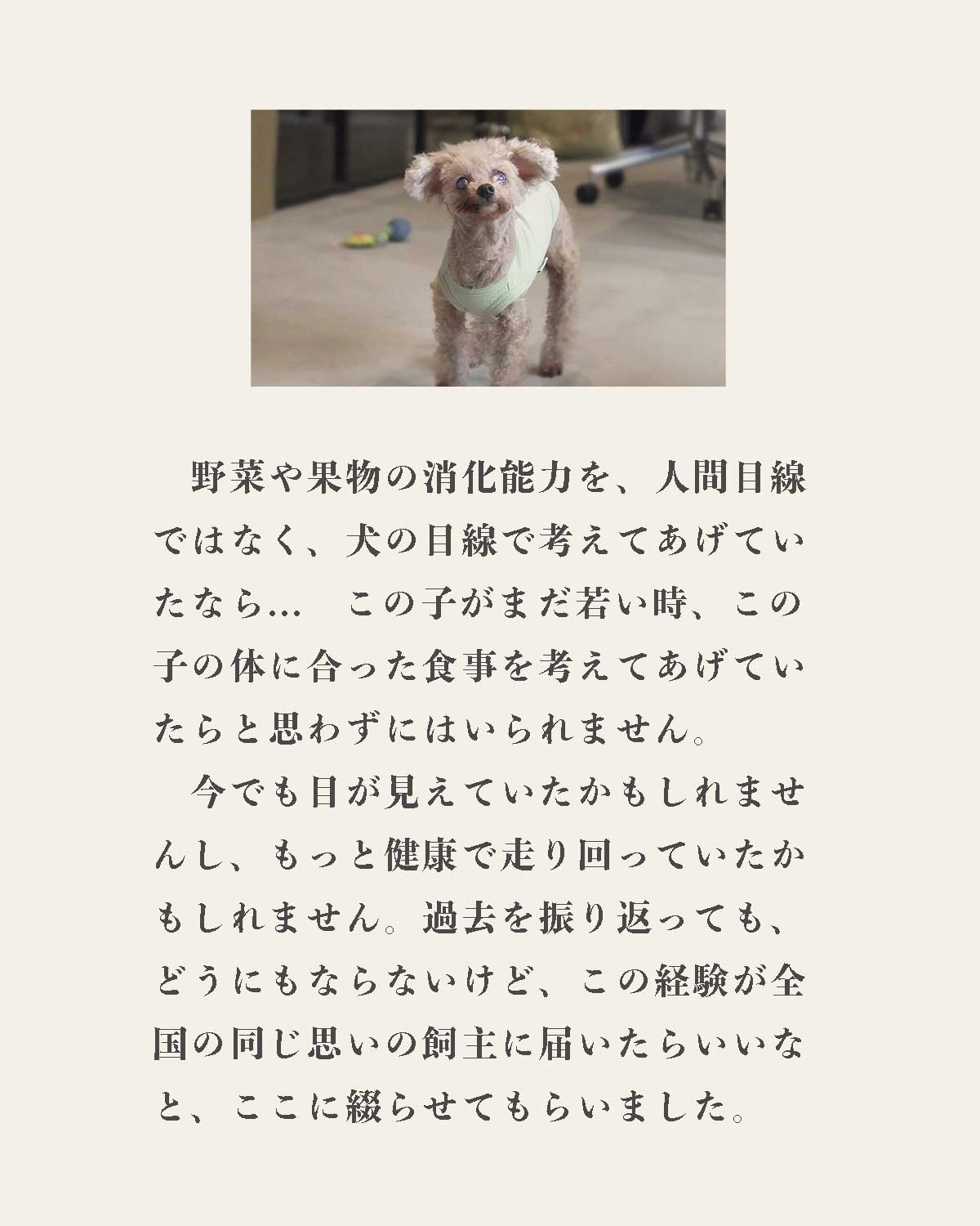 発酵野草ドッグフードウルス