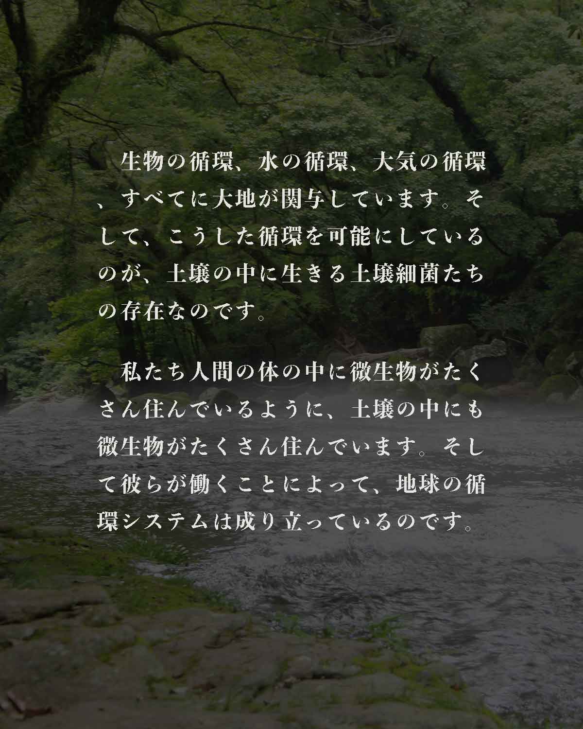 発酵野草ドッグフードウルス