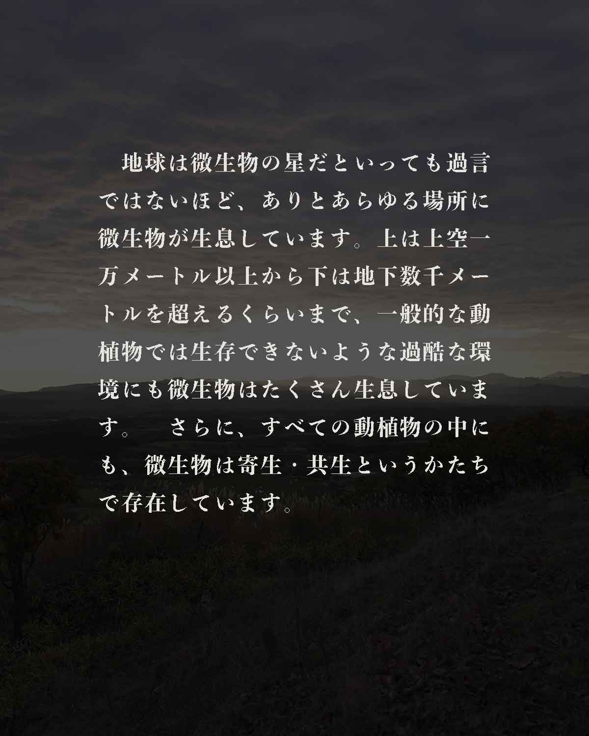 発酵野草ドッグフードウルス