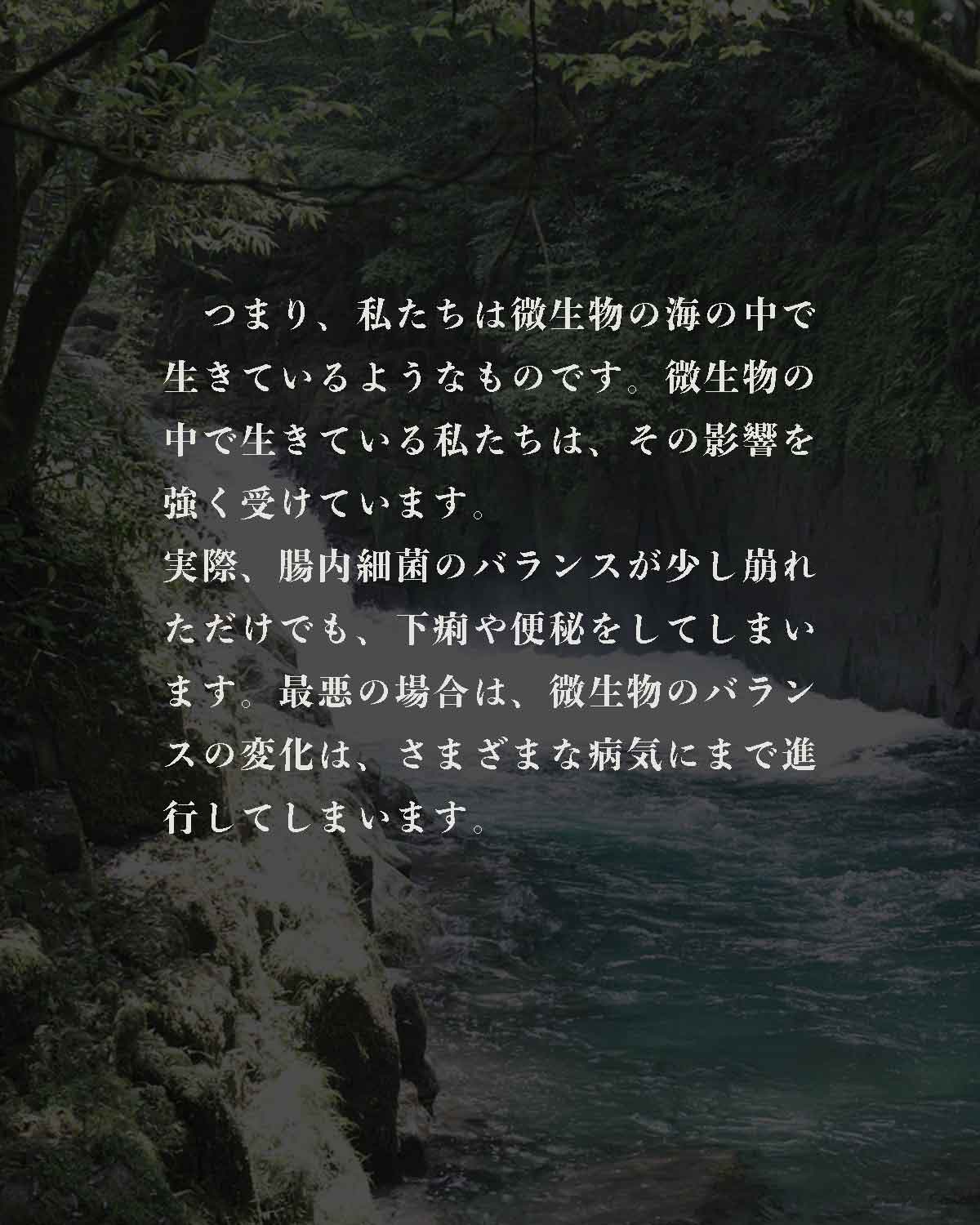 発酵野草ドッグフードウルス