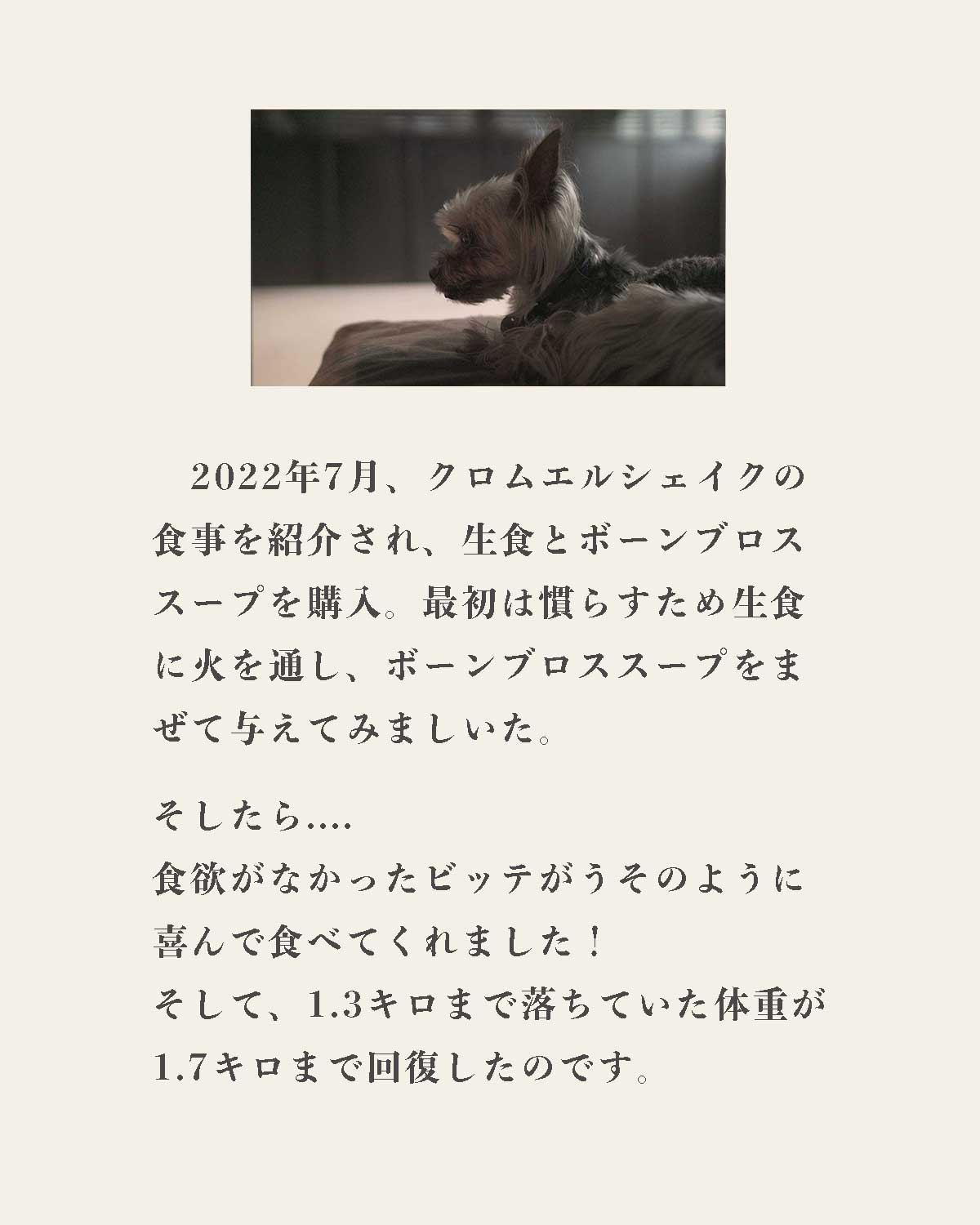 発酵野草ドッグフードウルス