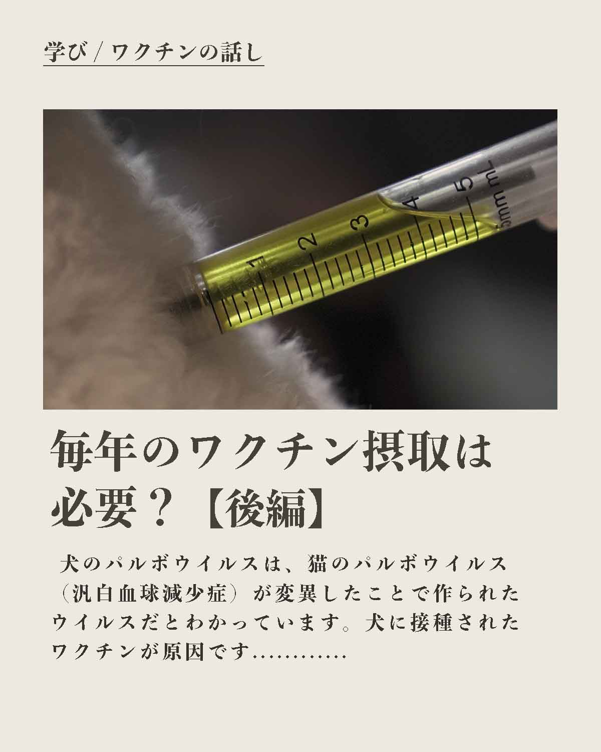 犬の手作りフード 生食 発酵野草入りローフードウルス