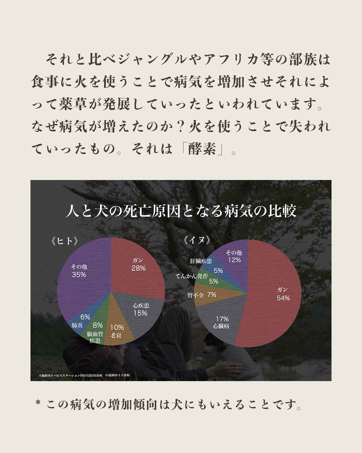 発酵野草ドッグフードウルス