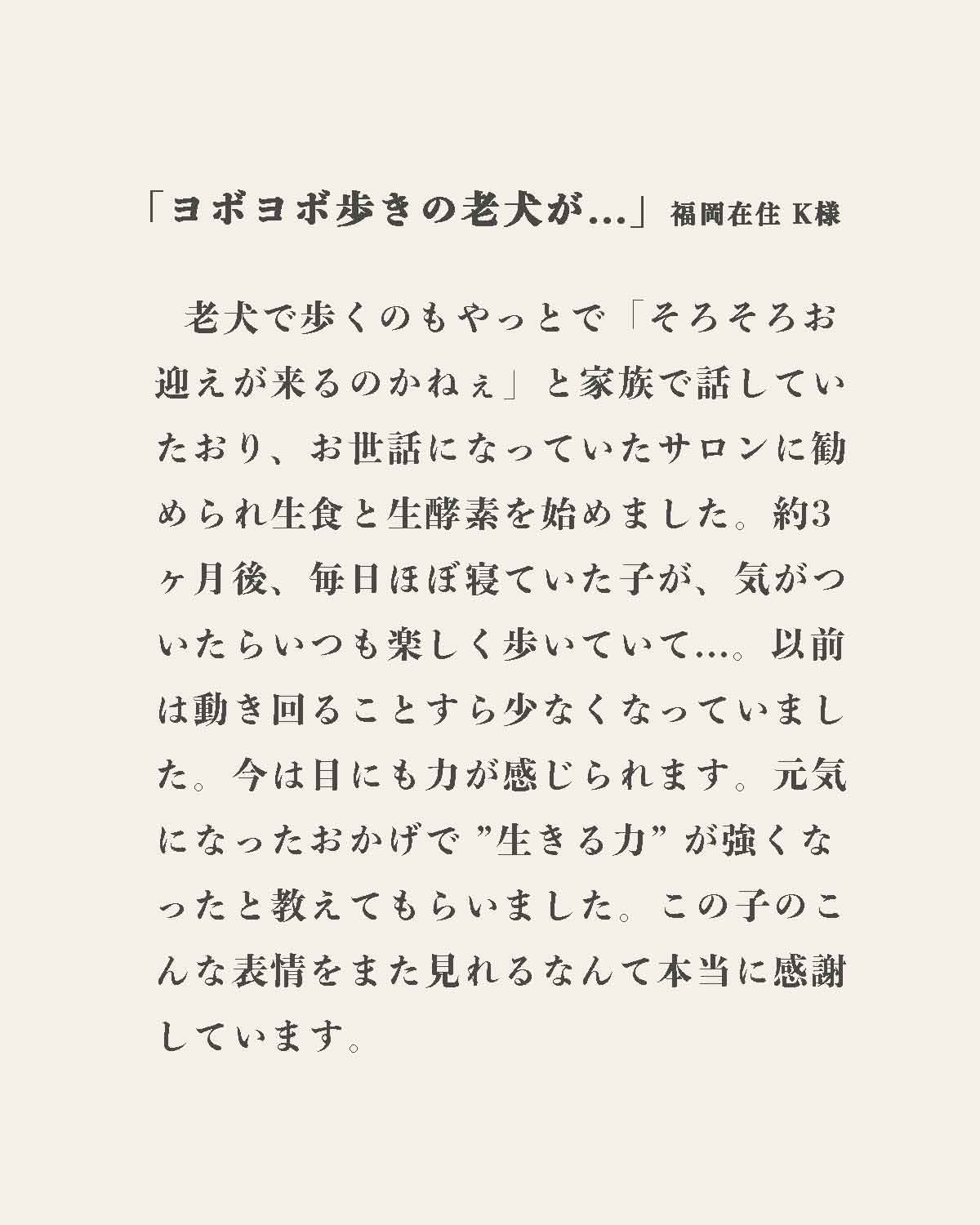 発酵野草ドッグフードウルス