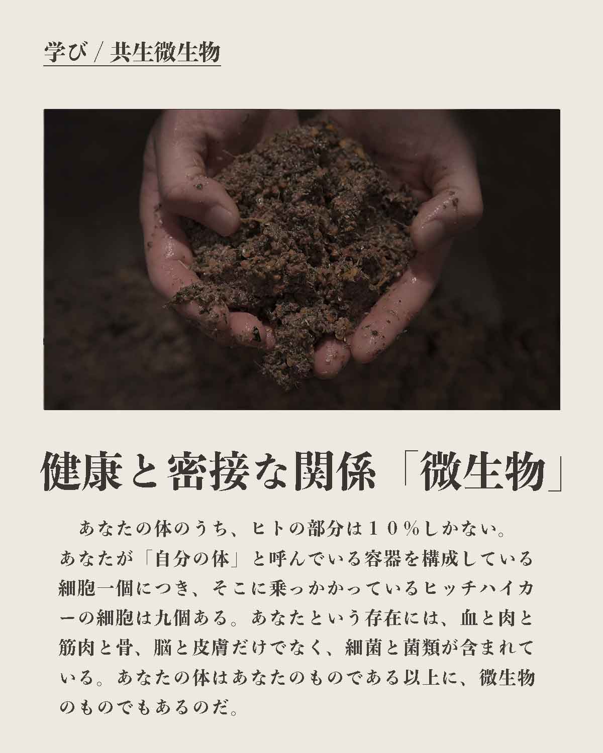 犬の手作りフード 生食 発酵野草入りローフードウルス