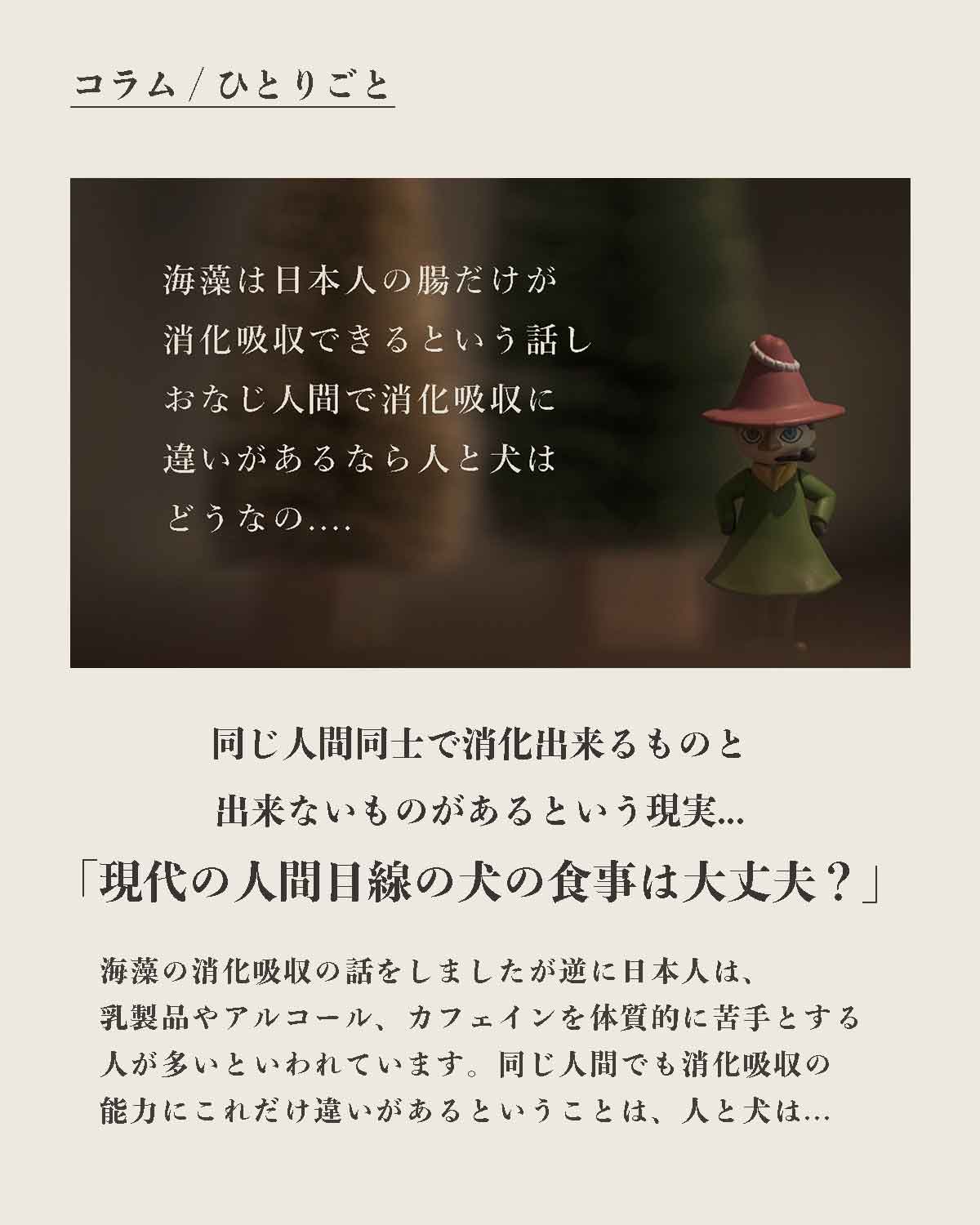 犬の手作りフード 生食 発酵野草入りローフードウルス