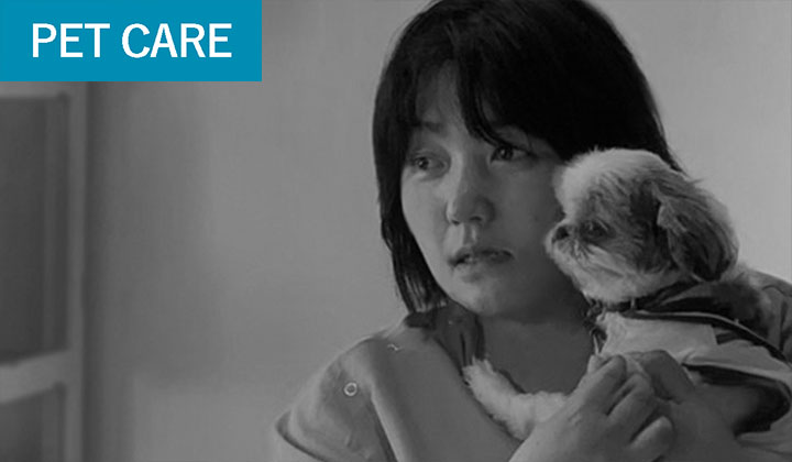 アニマルヘルスケアサポート楓