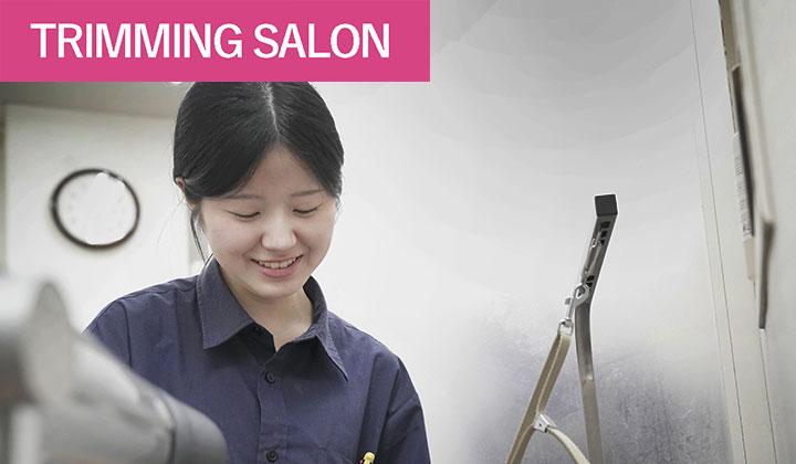 マザーズドッグス