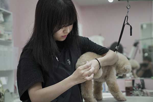 稲城市トリミングサロン　わんこまにあ