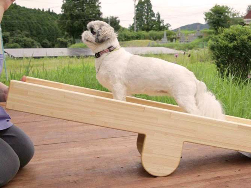 アニマルヘルスケアサポート楓