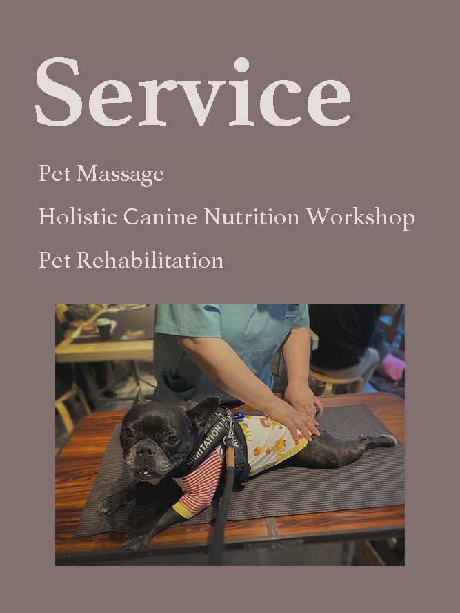 アニマルヘルスケアサポート楓 サービス