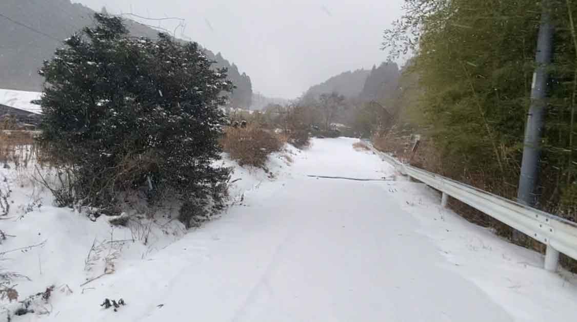 アニマルヘルスケアサポート楓