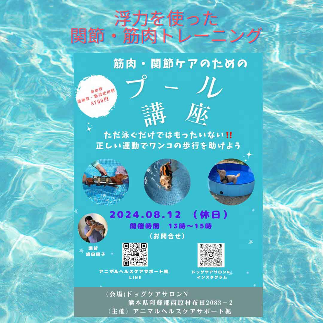 アニマルヘルスケアサポート楓