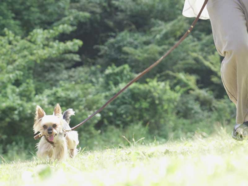 バックストーリージェイピー