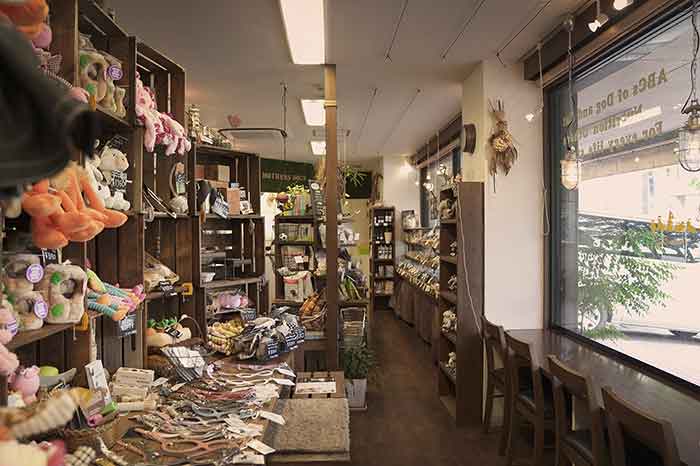 マザーズドッグス