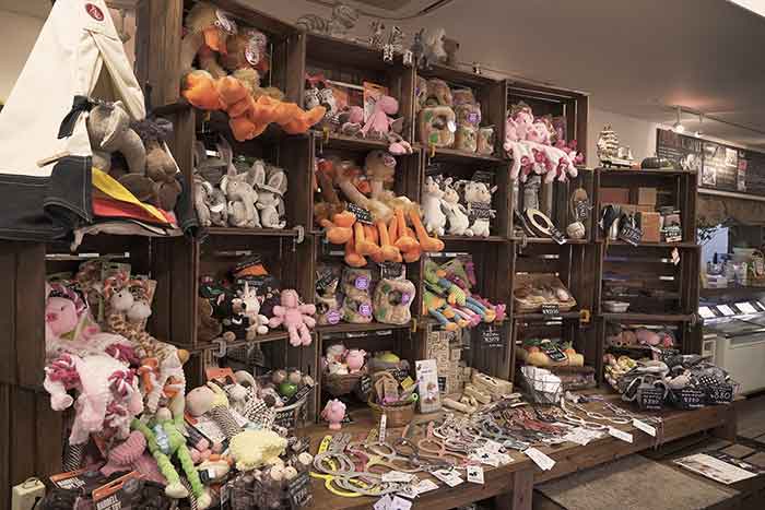 マザーズドッグス