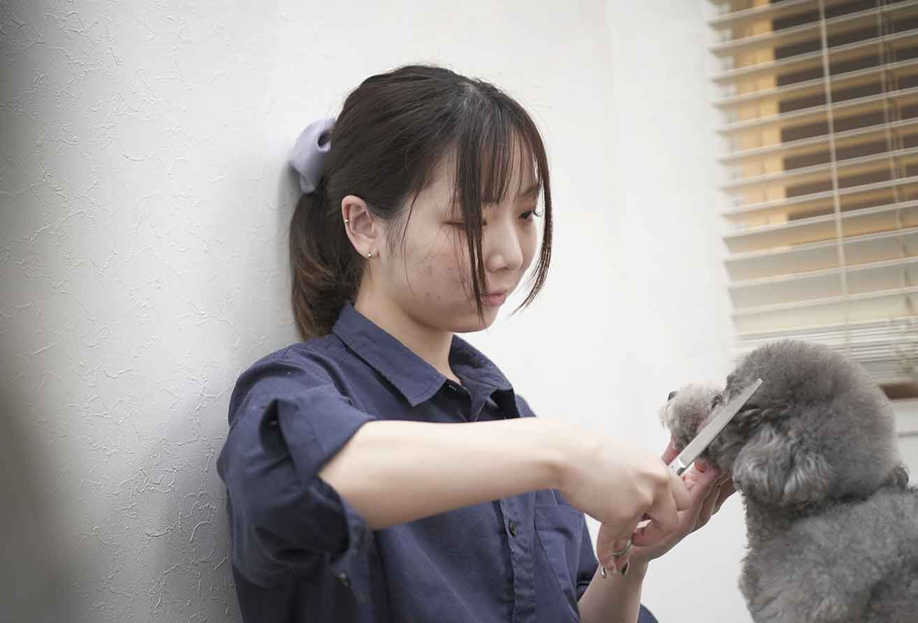 マザーズドッグス