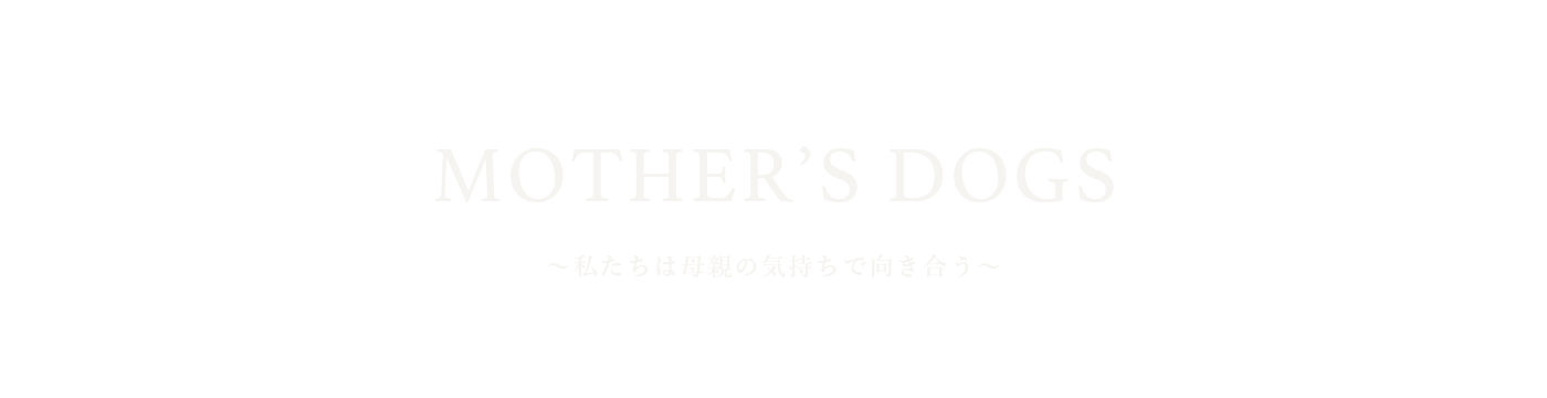 ウルス　犬の食事　生食