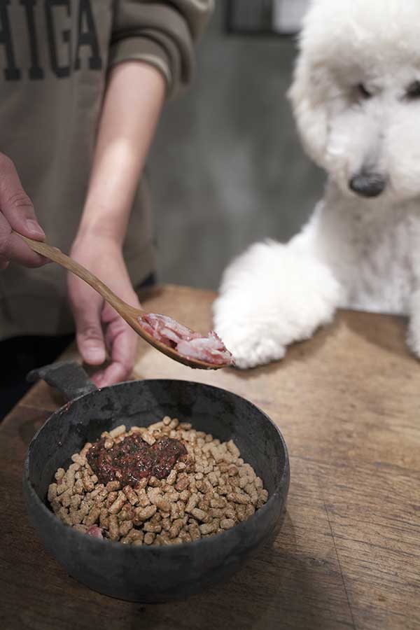 福岡市トリミングサロン　プチボヌール