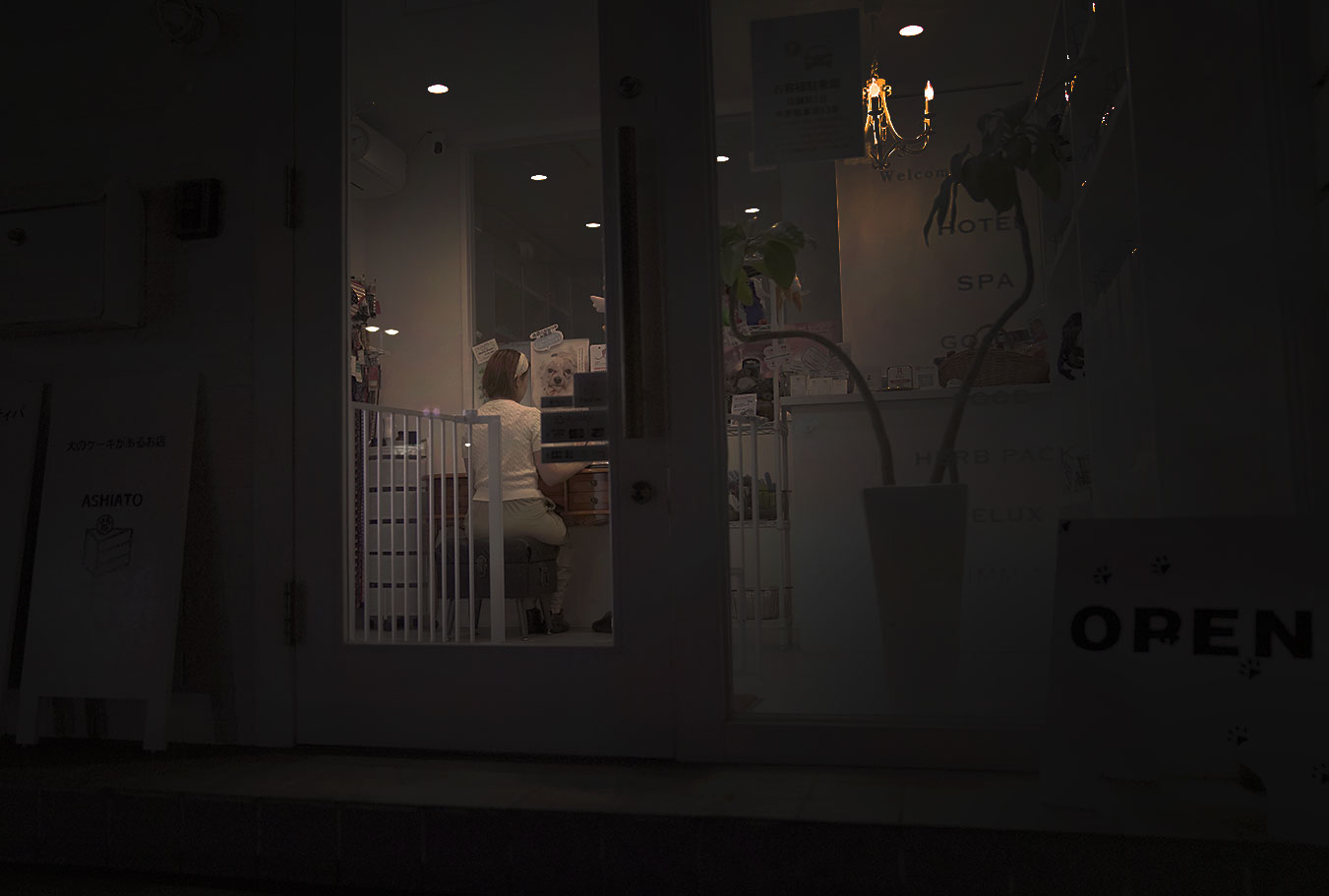 福岡市南区ペットサロンプティパ