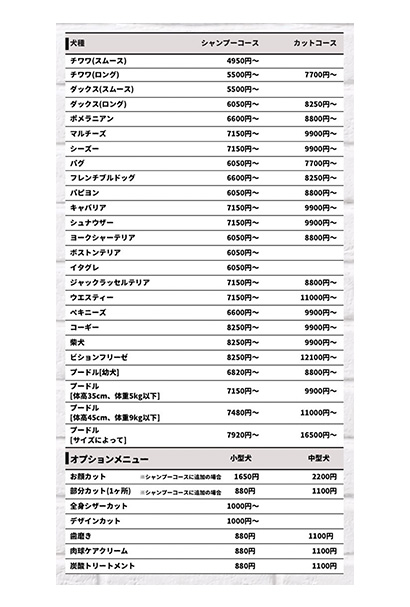 プティパ