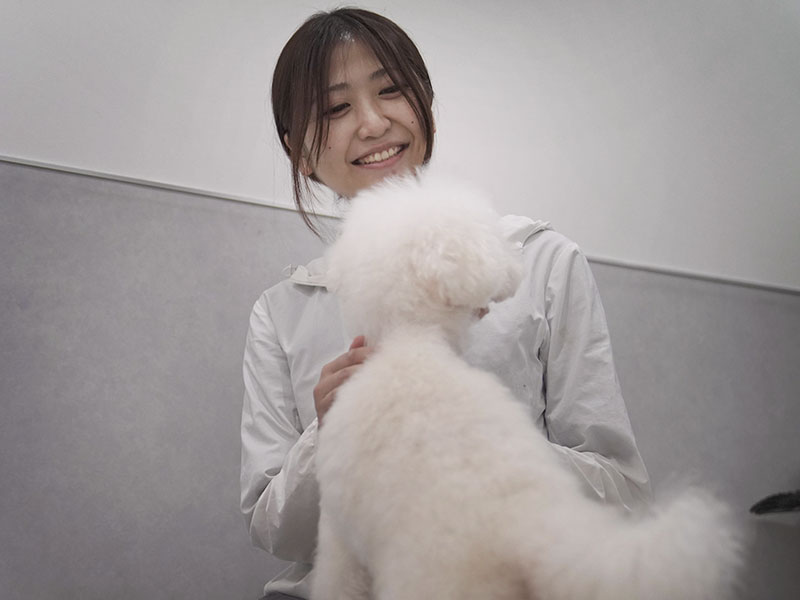 プティパ・犬の保育園