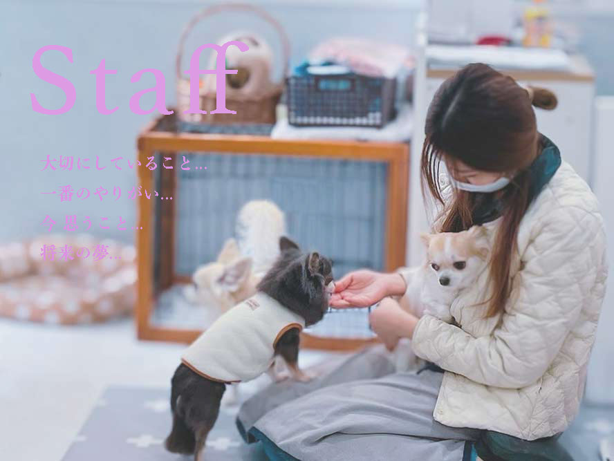 プティパ スタッフ