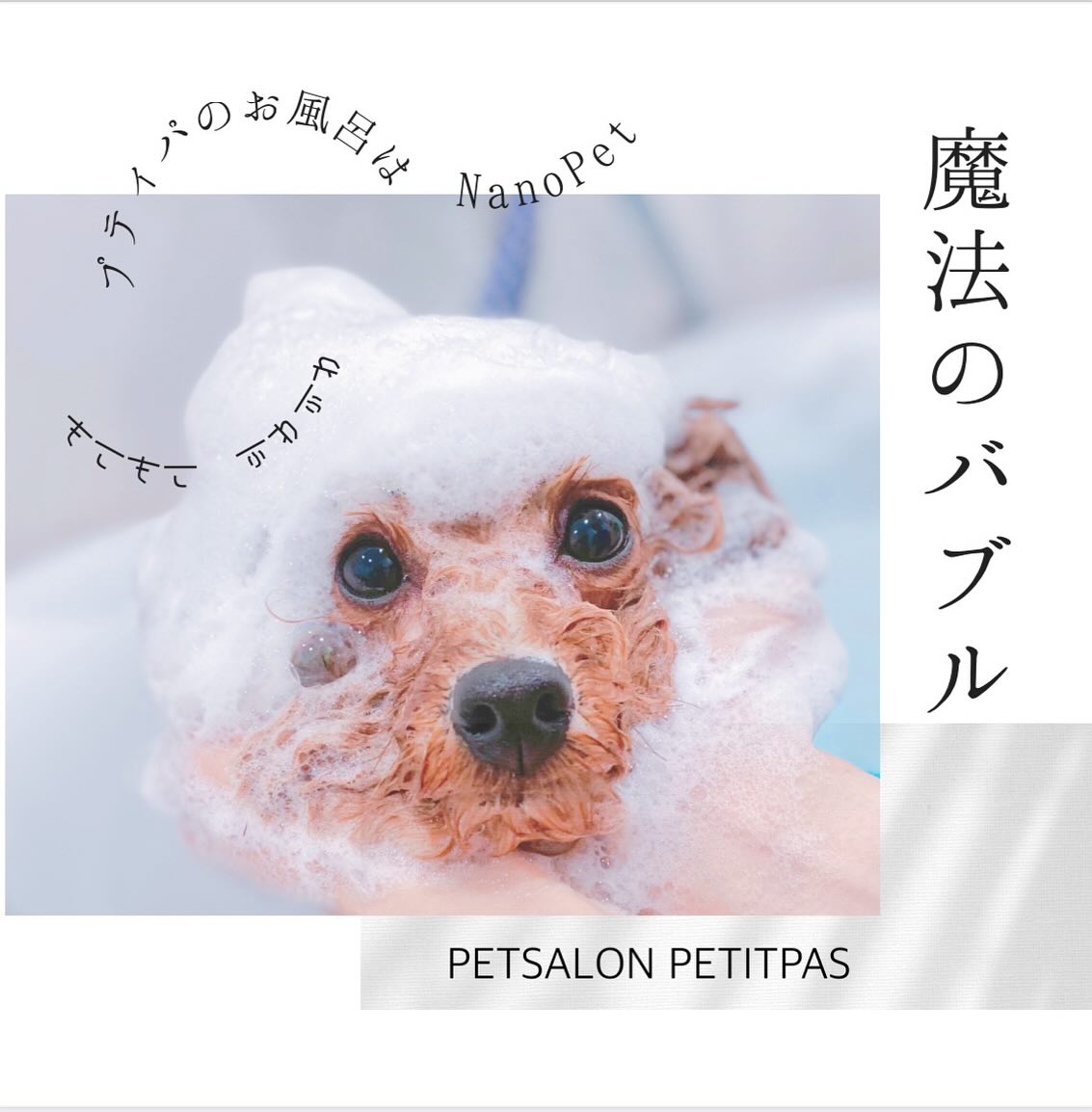 ペットサロンプティパ