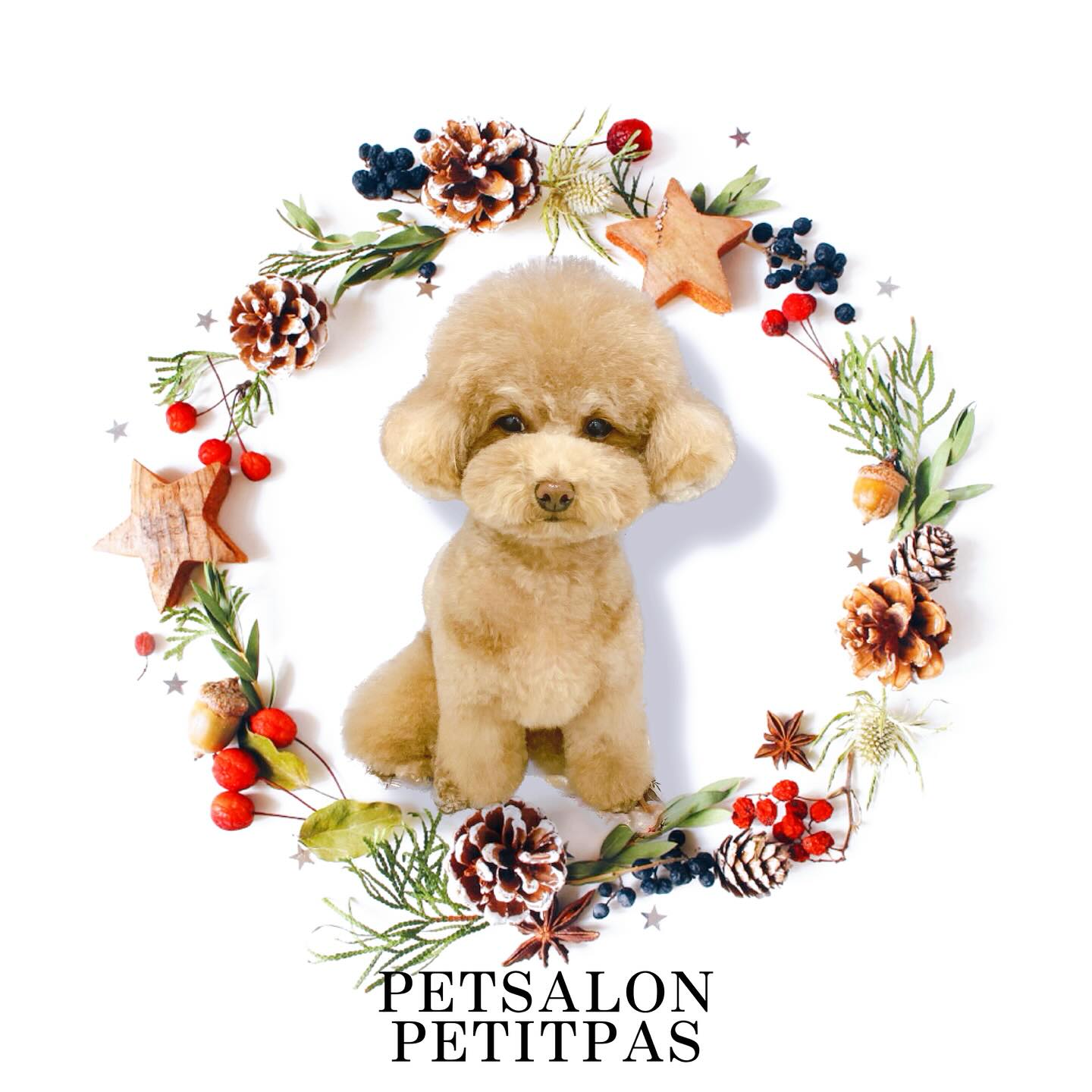 ペットサロンプティパ