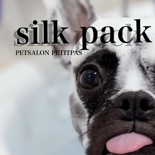 ペットサロンプティパ