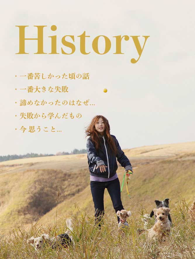 犬 生食